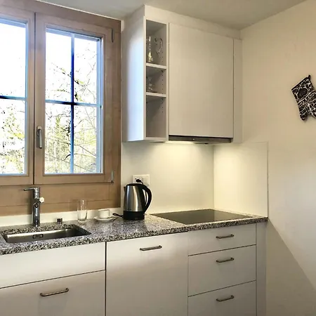 Oberland Nr- 29 By Interhome * Gstaad